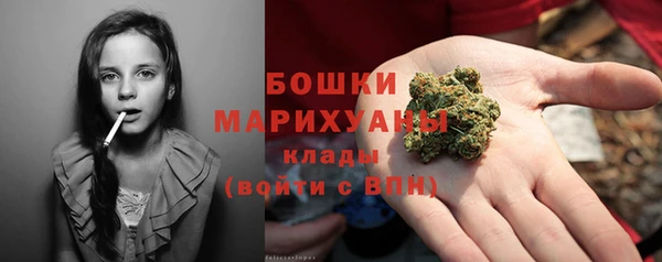 ешки Протвино
