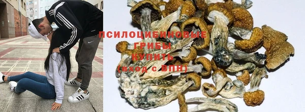 a pvp Балахна