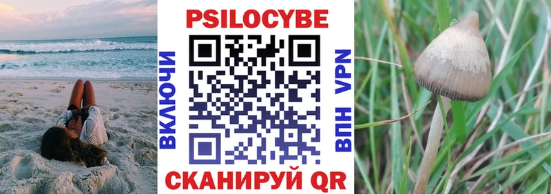 Псилоцибиновые грибы ЛСД  блэк спрут сайт  Гвардейск  купить закладку 